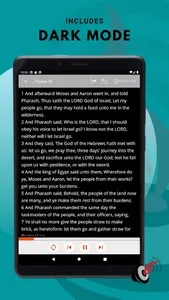 Hausa Audio Bible screenshot 14