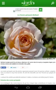 Au Jardin screenshot 10