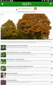 Au Jardin screenshot 16