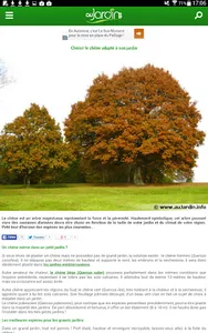 Au Jardin screenshot 17