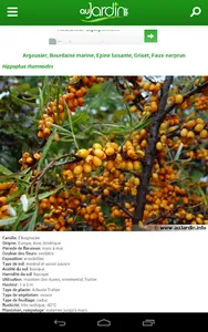 Au Jardin screenshot 9