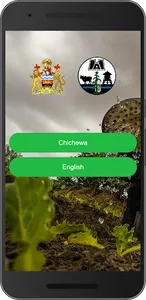 DAES v1 Translated screenshot 3