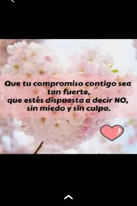 Frases Feministas screenshot 1