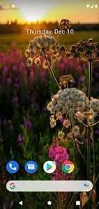 Evening Flowers Live wallpaper screenshot 2