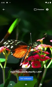 Red Flowers Butterfly LWP screenshot 0