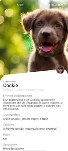 Doggo screenshot 9