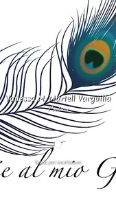 Vanessa M. Martell Varguilla screenshot 0