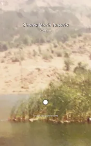 Sinatra Maria Rosaria screenshot 3