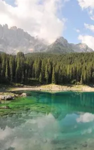 Stefano Colorio screenshot 5