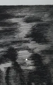 Riccardo Gallione screenshot 6