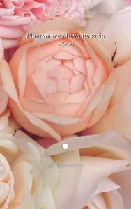 Plantamura Maria Rosaria screenshot 3
