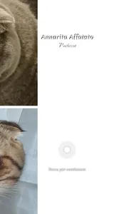 Rosaria Maimone screenshot 3