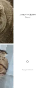 Rosaria Maimone screenshot 6