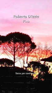 Roberto D'Izzia screenshot 0