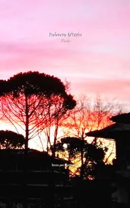 Roberto D'Izzia screenshot 6