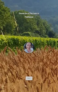 Francesca Tricarico screenshot 16