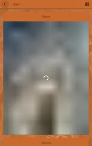 Silvia Giancane screenshot 7