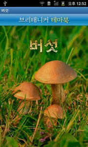 브리태니커 테마북-버섯 screenshot 0
