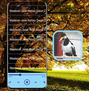 Masteran Kicau Jalak Suren Mp3 screenshot 1
