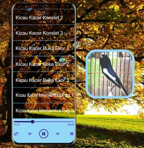 Masteran Kicau Kacer Mp3 screenshot 3