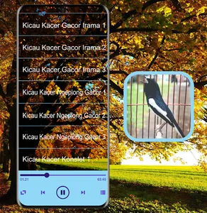 Masteran Kicau Kacer Mp3 screenshot 4