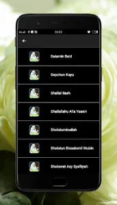 Sholawat Wafiq Azizah Mp3 screenshot 13