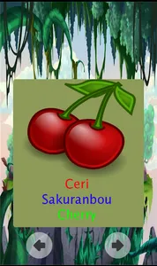 Mengenal Buah dan Hewan screenshot 5