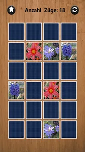 Gabis Blumen Memory screenshot 1
