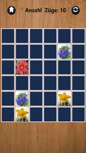Gabis Blumen Memory screenshot 5