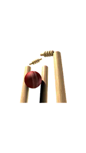 Classic Sports screenshot 1