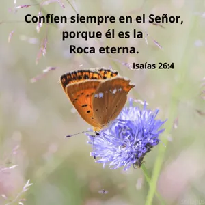 Mensajes cristianos screenshot 3