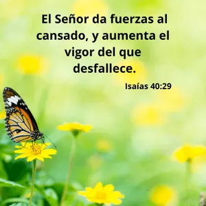 Mensajes cristianos screenshot 4