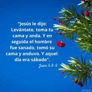 Mensajes cristianos screenshot 5