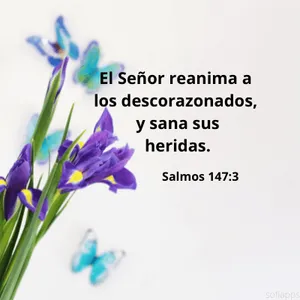 Mensajes cristianos screenshot 6