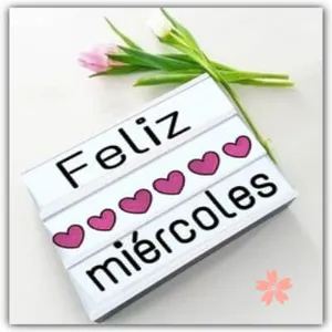 Saludos Diarios screenshot 4