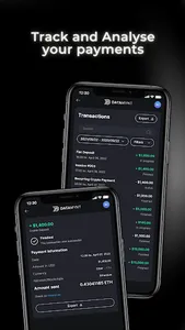 DataMynt for Business screenshot 5