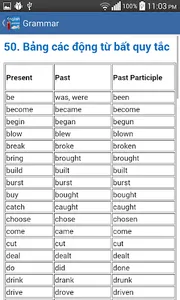 Ngu phap tieng anh - grammar screenshot 5