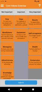 Core Values Exercise screenshot 0