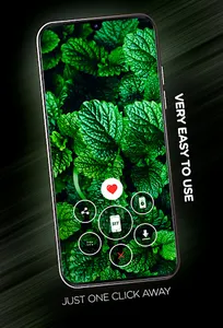 Leaves Wallpapers screenshot 1