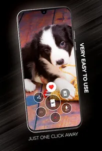 Puppies Wallpapers in 4K screenshot 1