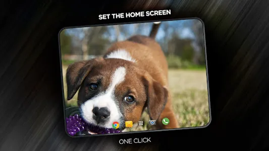 Puppies Wallpapers in 4K screenshot 11