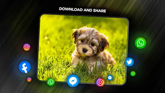 Puppies Wallpapers in 4K screenshot 14