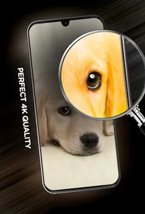 Puppies Wallpapers in 4K screenshot 3