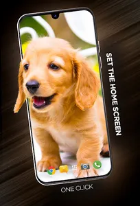Puppies Wallpapers in 4K screenshot 5