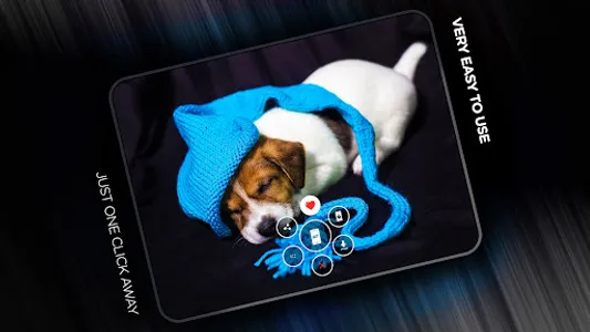 Puppies Wallpapers in 4K screenshot 7