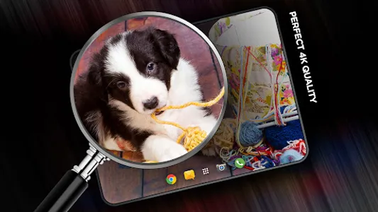 Puppies Wallpapers in 4K screenshot 9