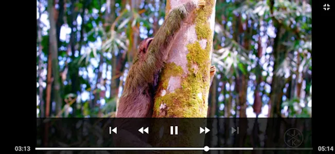 DPlayer - Reproductor de video screenshot 11