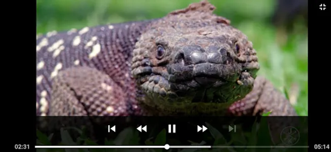 DPlayer - Reproductor de video screenshot 16