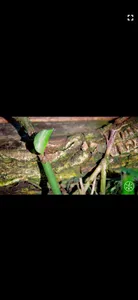 DPlayer - Reproductor de video screenshot 6