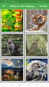 Wild Life HD Wallpapers | HD A screenshot 3